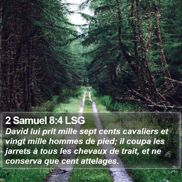 2 Samuel 8:4 LSG Bible Study