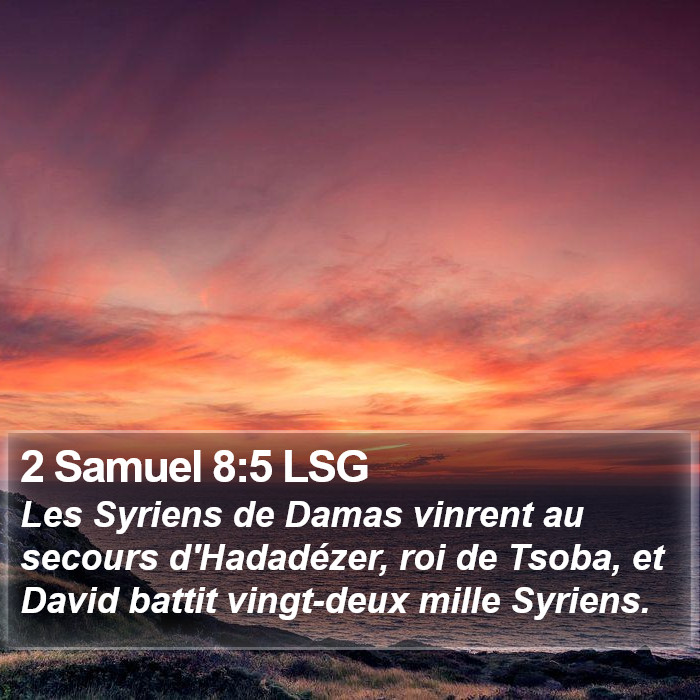 2 Samuel 8:5 LSG Bible Study