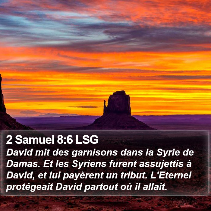 2 Samuel 8:6 LSG Bible Study