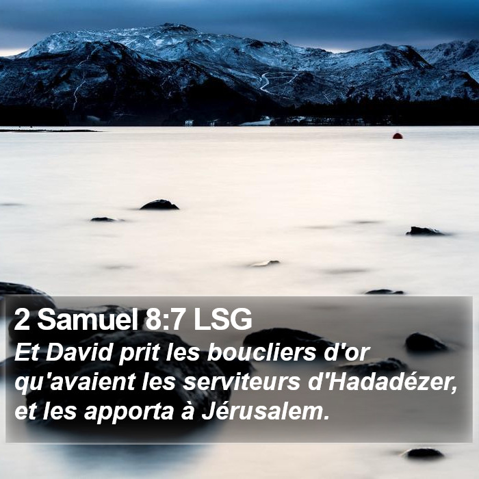 2 Samuel 8:7 LSG Bible Study