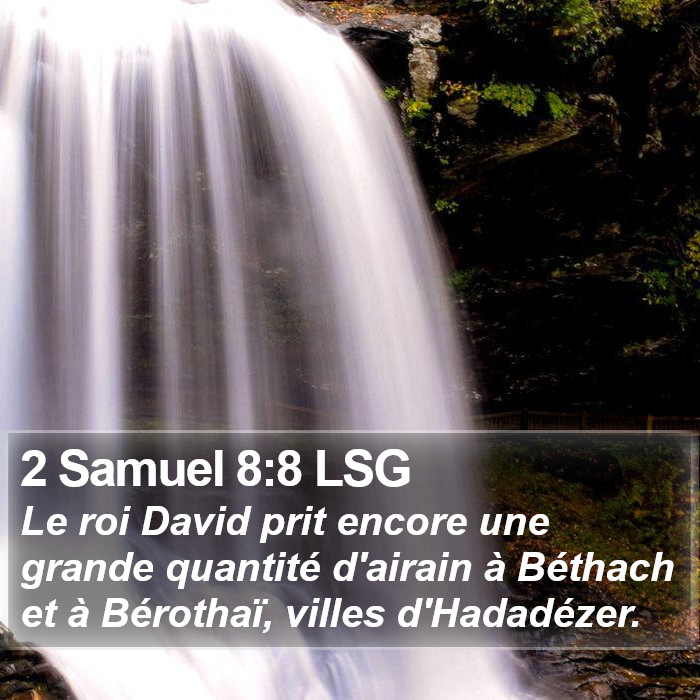 2 Samuel 8:8 LSG Bible Study