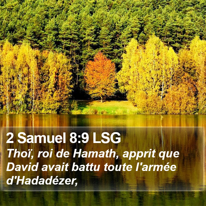 2 Samuel 8:9 LSG Bible Study