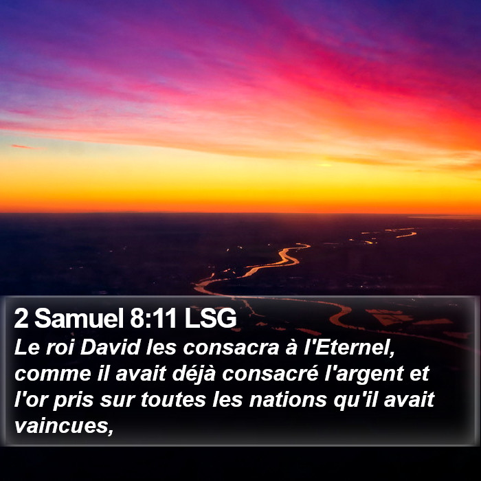 2 Samuel 8:11 LSG Bible Study