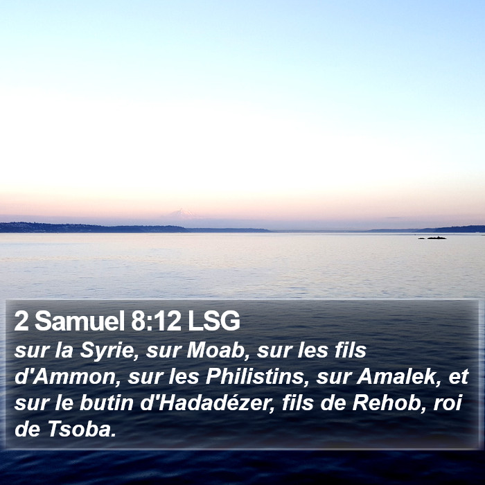 2 Samuel 8:12 LSG Bible Study