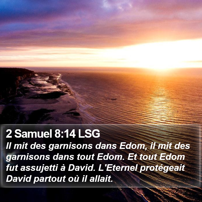 2 Samuel 8:14 LSG Bible Study