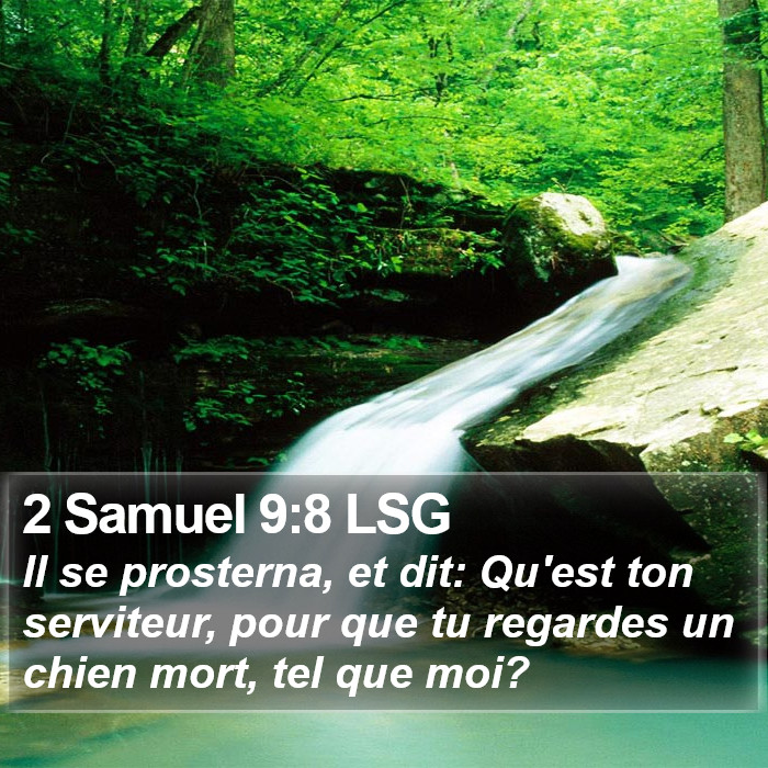 2 Samuel 9:8 LSG Bible Study