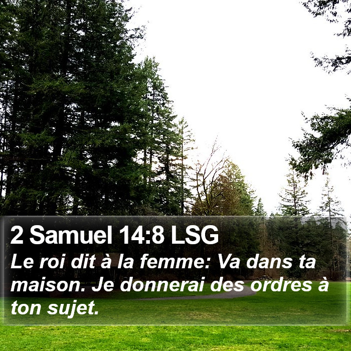 2 Samuel 14:8 LSG Bible Study