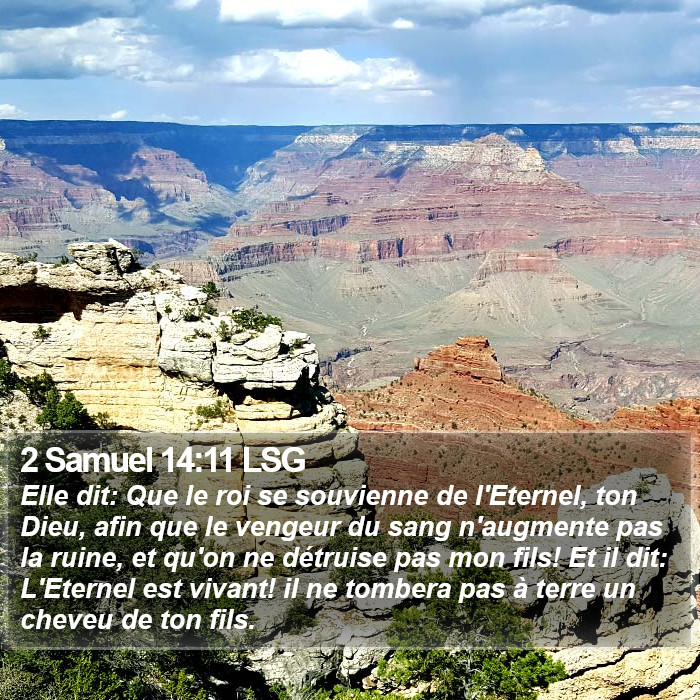 2 Samuel 14:11 LSG Bible Study