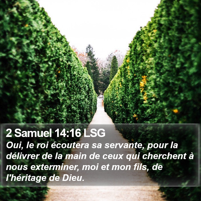 2 Samuel 14:16 LSG Bible Study
