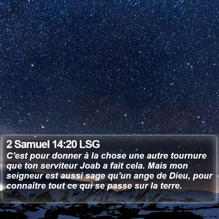 2 Samuel 14:20 LSG Bible Study