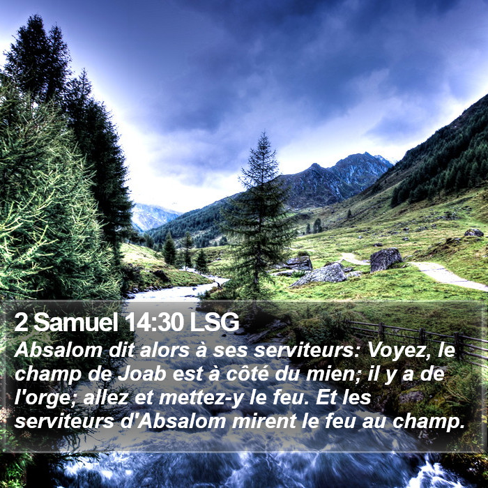 2 Samuel 14:30 LSG Bible Study