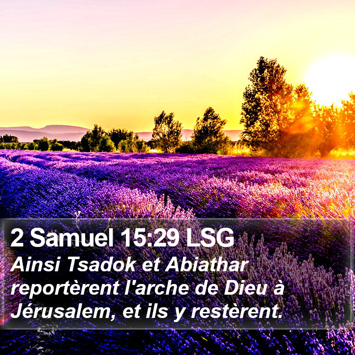 2 Samuel 15:29 LSG Bible Study