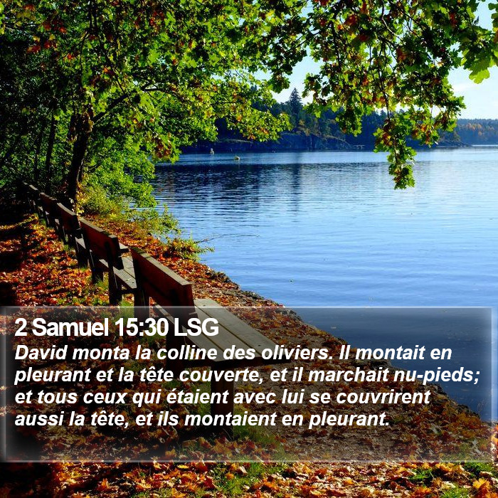 2 Samuel 15:30 LSG Bible Study
