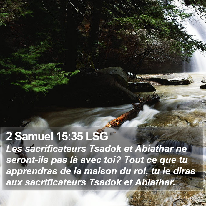 2 Samuel 15:35 LSG Bible Study