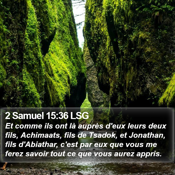 2 Samuel 15:36 LSG Bible Study