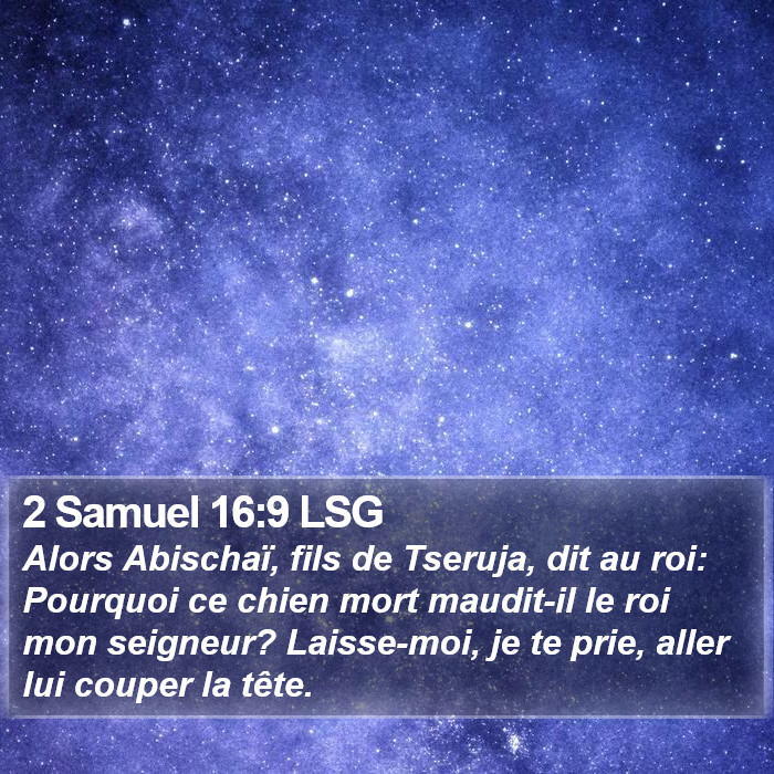 2 Samuel 16:9 LSG Bible Study