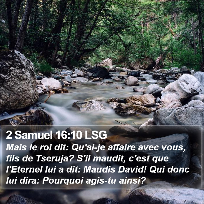 2 Samuel 16:10 LSG Bible Study