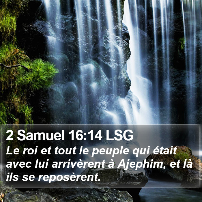 2 Samuel 16:14 LSG Bible Study