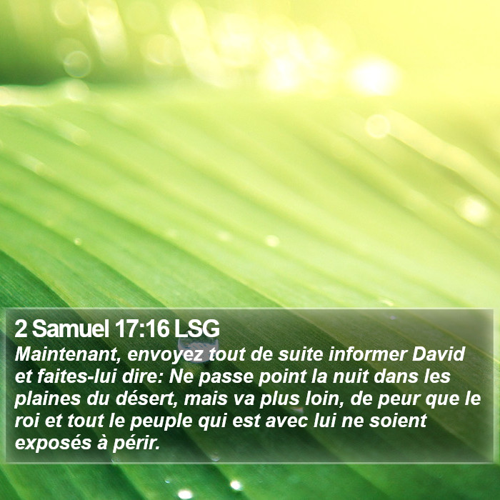2 Samuel 17:16 LSG Bible Study