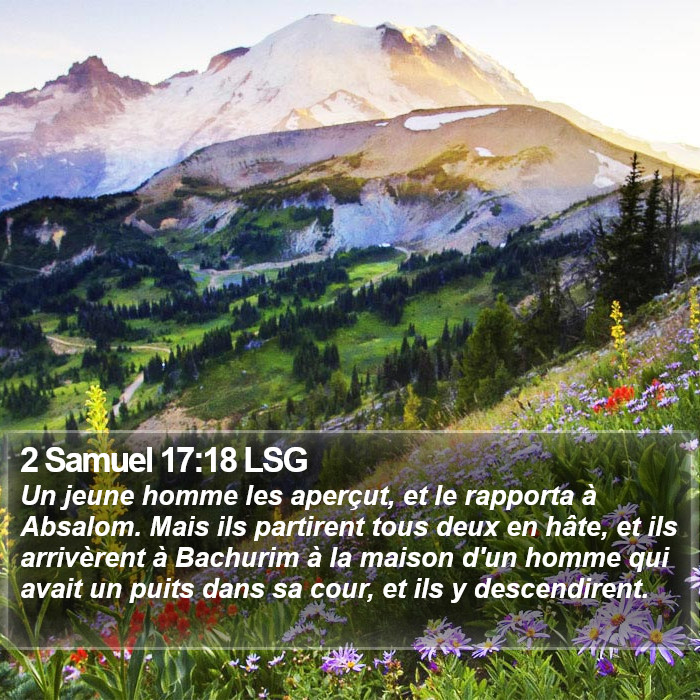 2 Samuel 17:18 LSG Bible Study