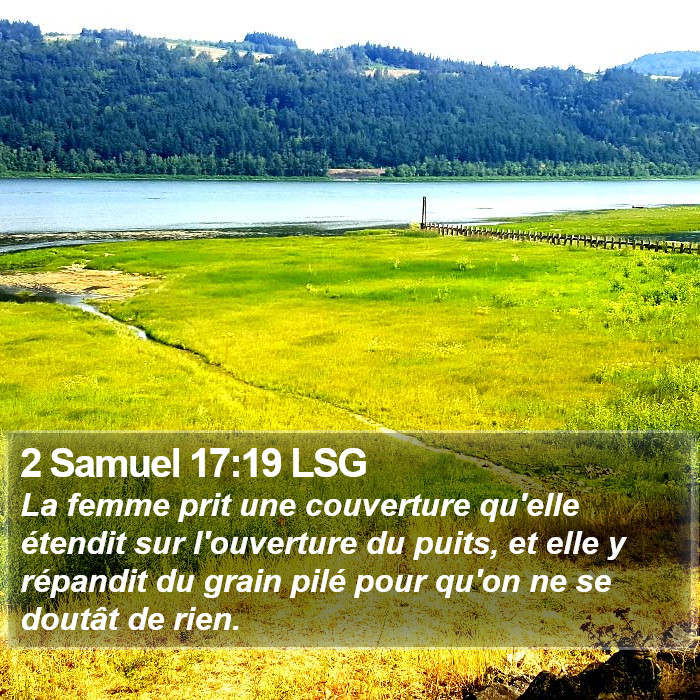 2 Samuel 17:19 LSG Bible Study