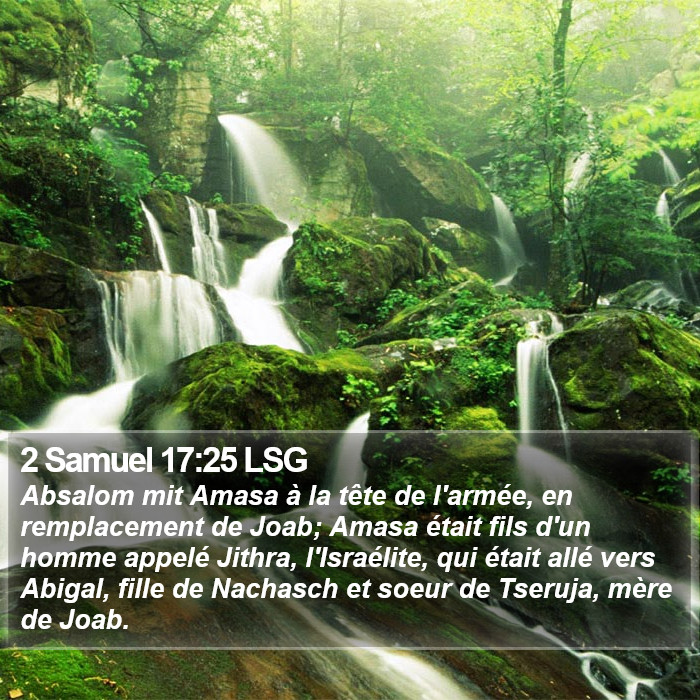 2 Samuel 17:25 LSG Bible Study