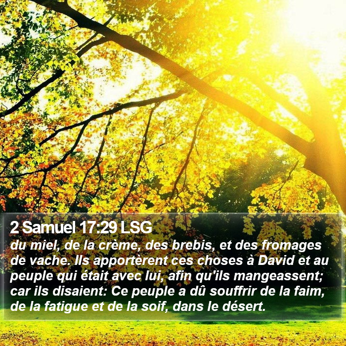 2 Samuel 17:29 LSG Bible Study