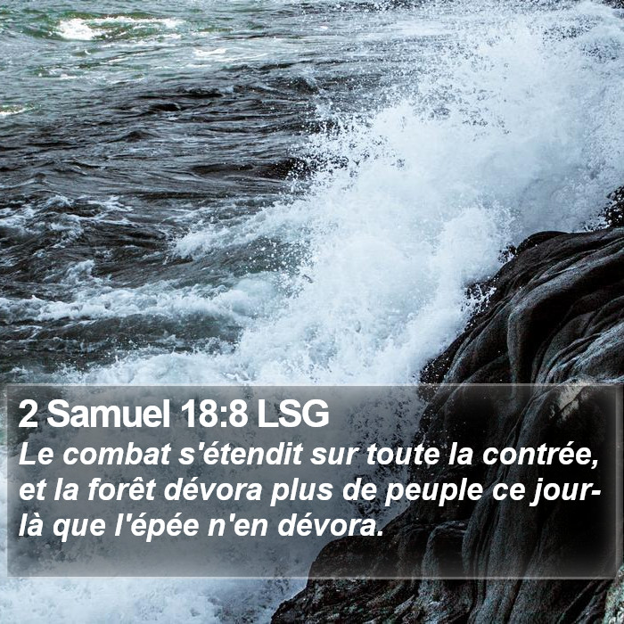 2 Samuel 18:8 LSG Bible Study
