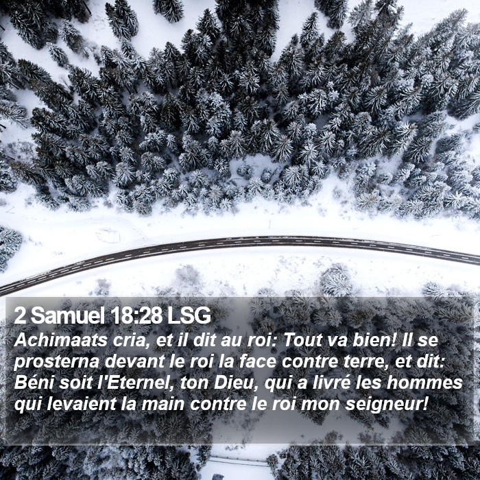 2 Samuel 18:28 LSG Bible Study