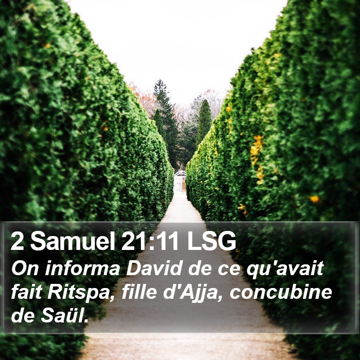 2 Samuel 21:11 LSG Bible Study