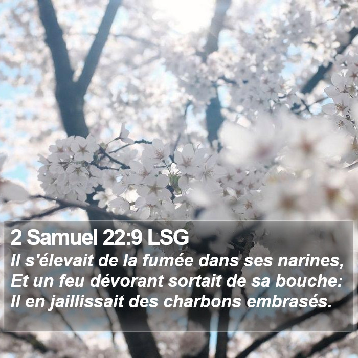 2 Samuel 22:9 LSG Bible Study