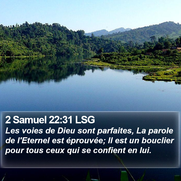 2 Samuel 22:31 LSG Bible Study