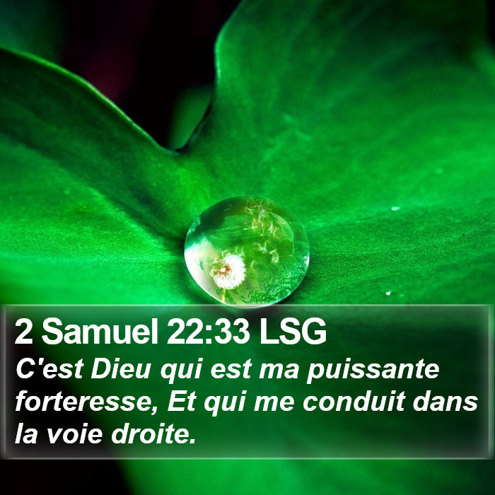 2 Samuel 22:33 LSG Bible Study