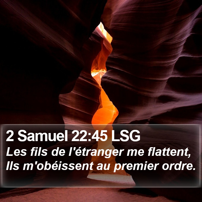 2 Samuel 22:45 LSG Bible Study
