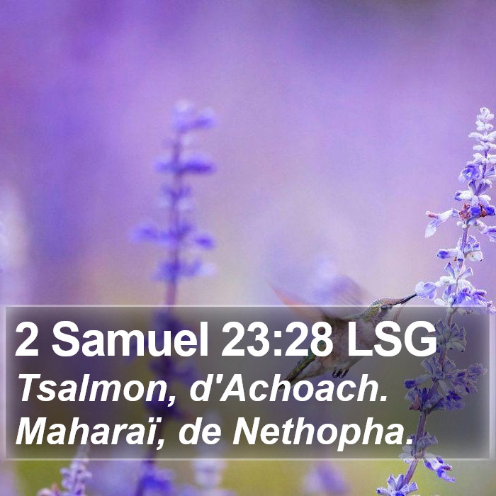 2 Samuel 23:28 LSG Bible Study