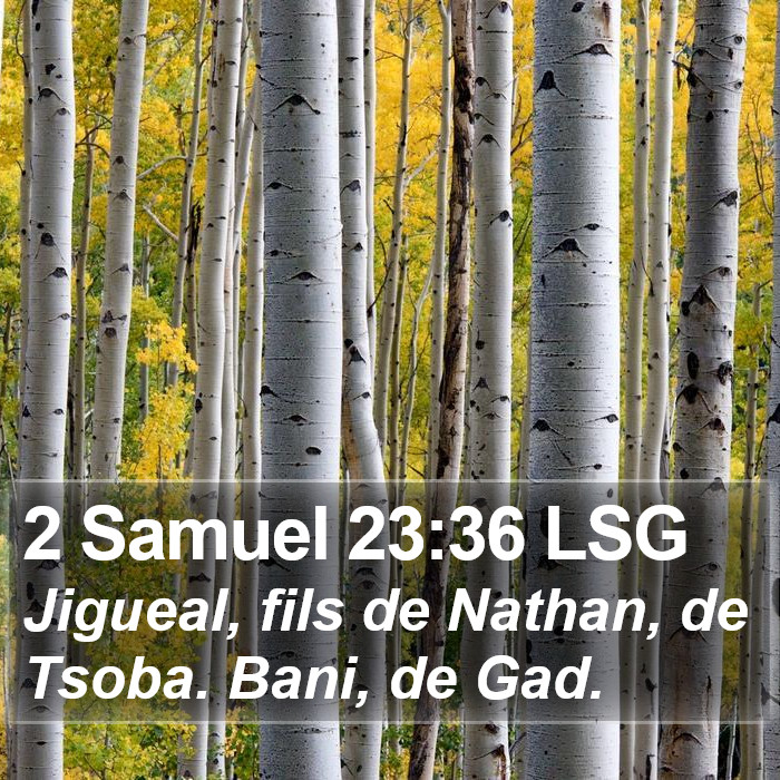 2 Samuel 23:36 LSG Bible Study