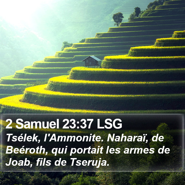 2 Samuel 23:37 LSG Bible Study