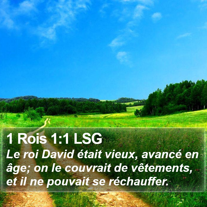 1 Rois 1:1 LSG Bible Study