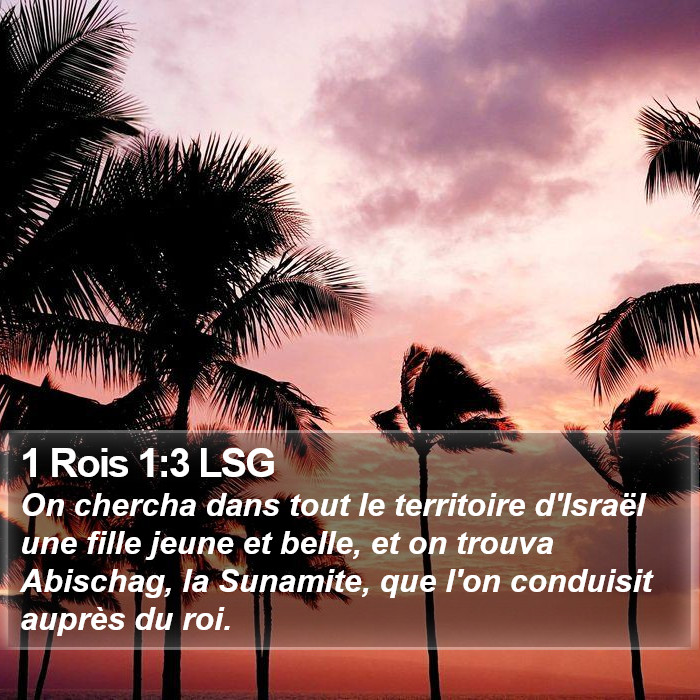 1 Rois 1:3 LSG Bible Study