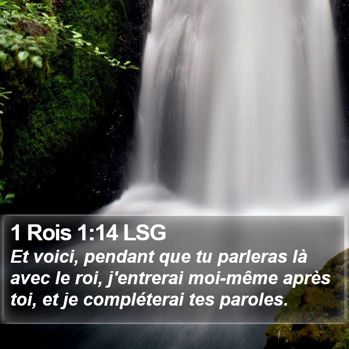 1 Rois 1:14 LSG Bible Study