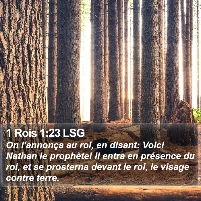 1 Rois 1:23 LSG Bible Study