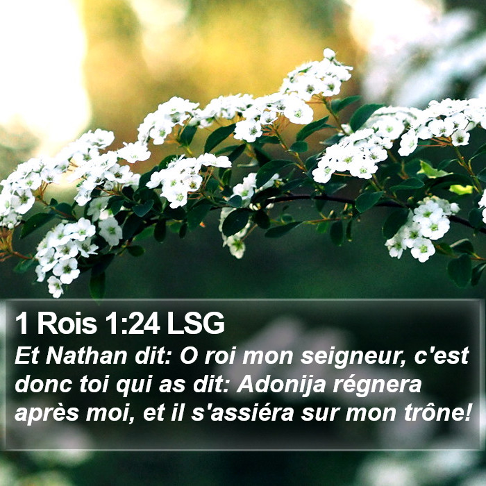 1 Rois 1:24 LSG Bible Study