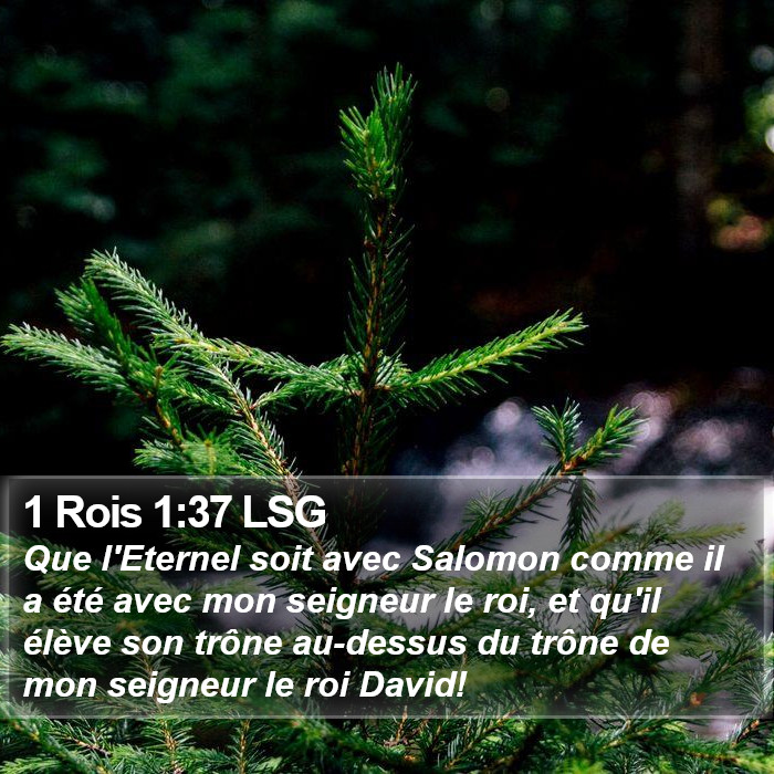 1 Rois 1:37 LSG Bible Study