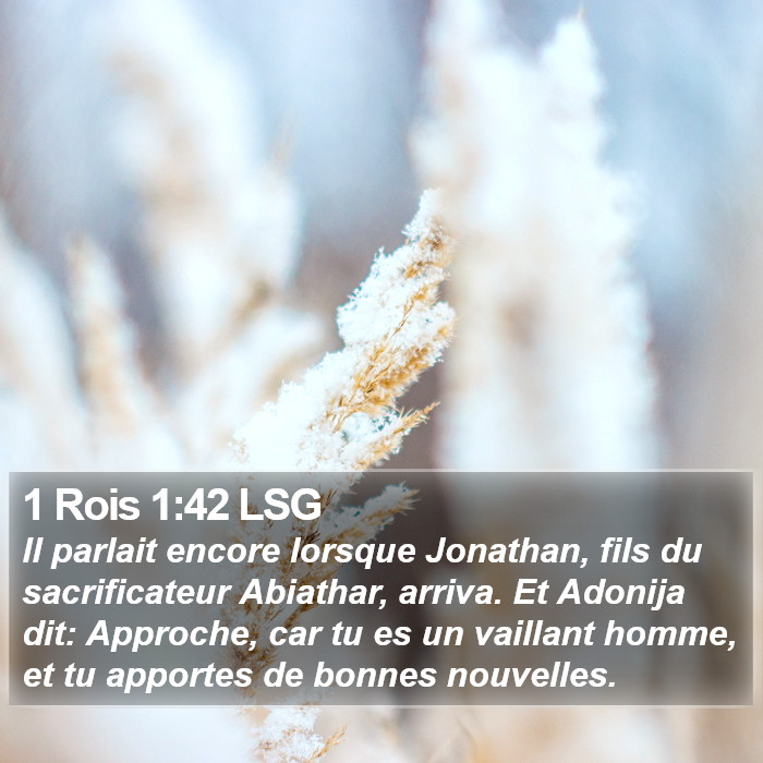 1 Rois 1:42 LSG Bible Study