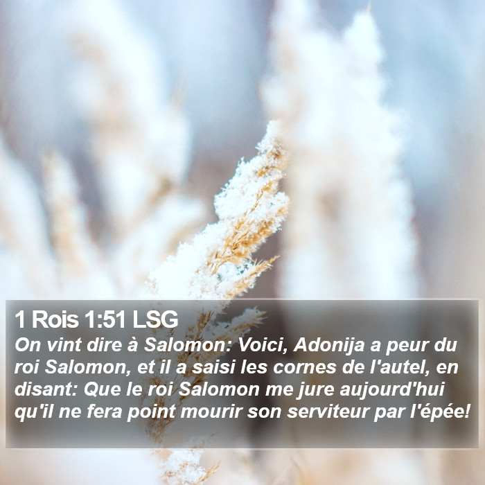 1 Rois 1:51 LSG Bible Study