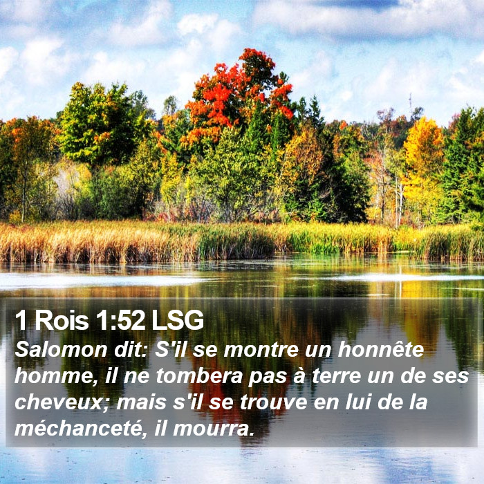 1 Rois 1:52 LSG Bible Study