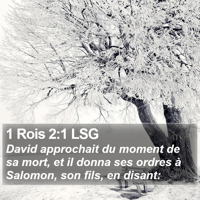 1 Rois 2:1 LSG Bible Study