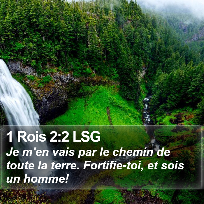 1 Rois 2:2 LSG Bible Study