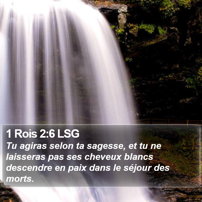 1 Rois 2:6 LSG Bible Study