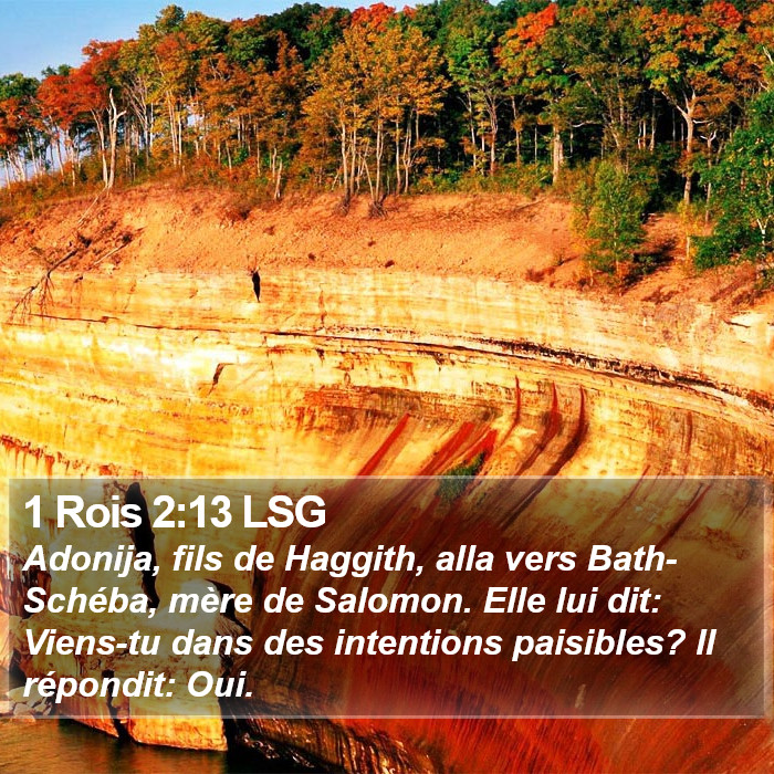 1 Rois 2:13 LSG Bible Study